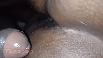 Blowjob Og Analsex Med En Svart Babe