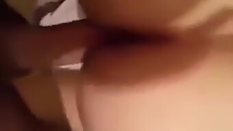 Khaliji Luder Mit Dicken Möpsen In Algerischem Escort Video