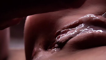 Intense Creampie Compilatie Met Close-Up Views